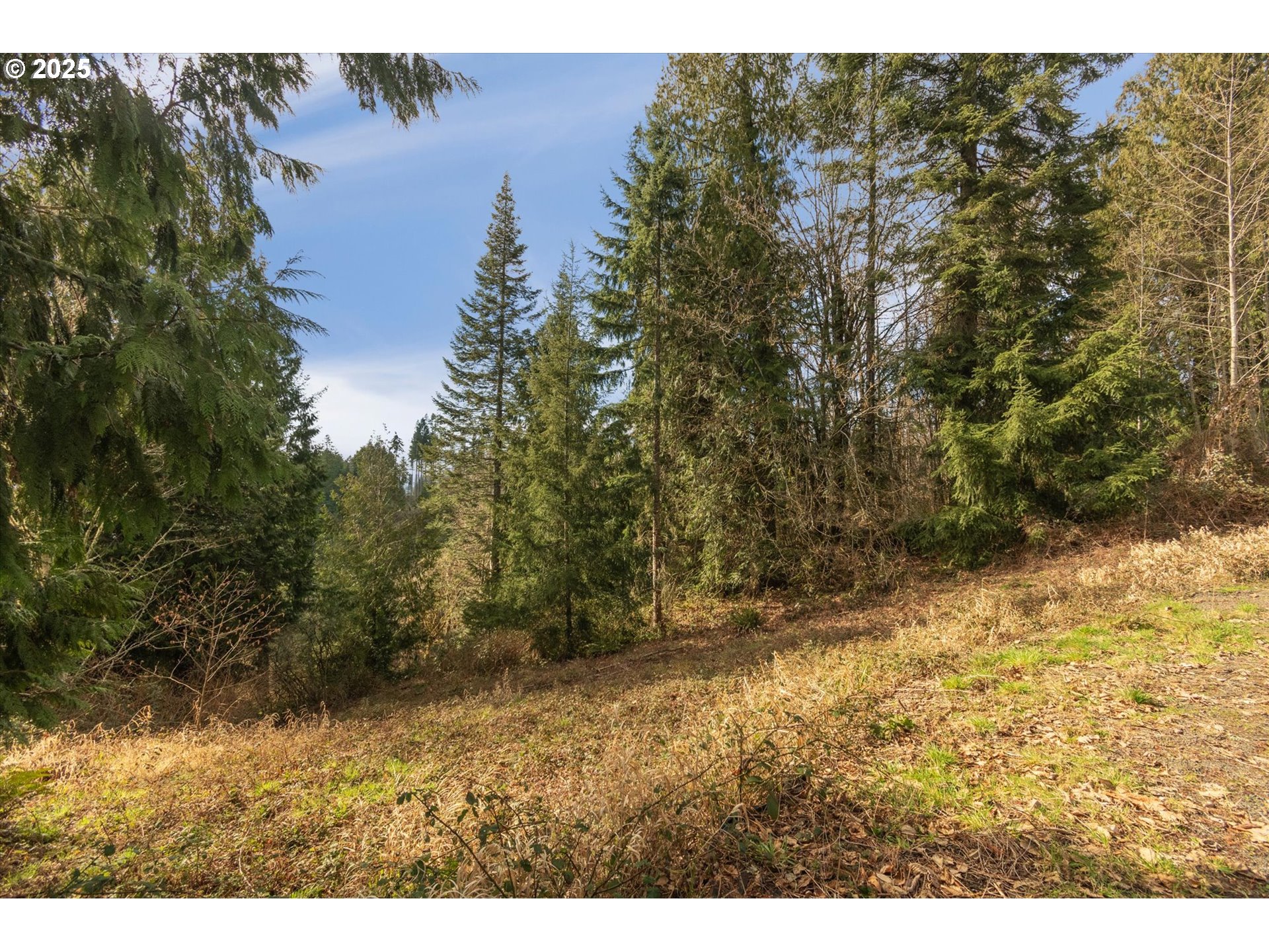 205 NEWT ESTATES RD