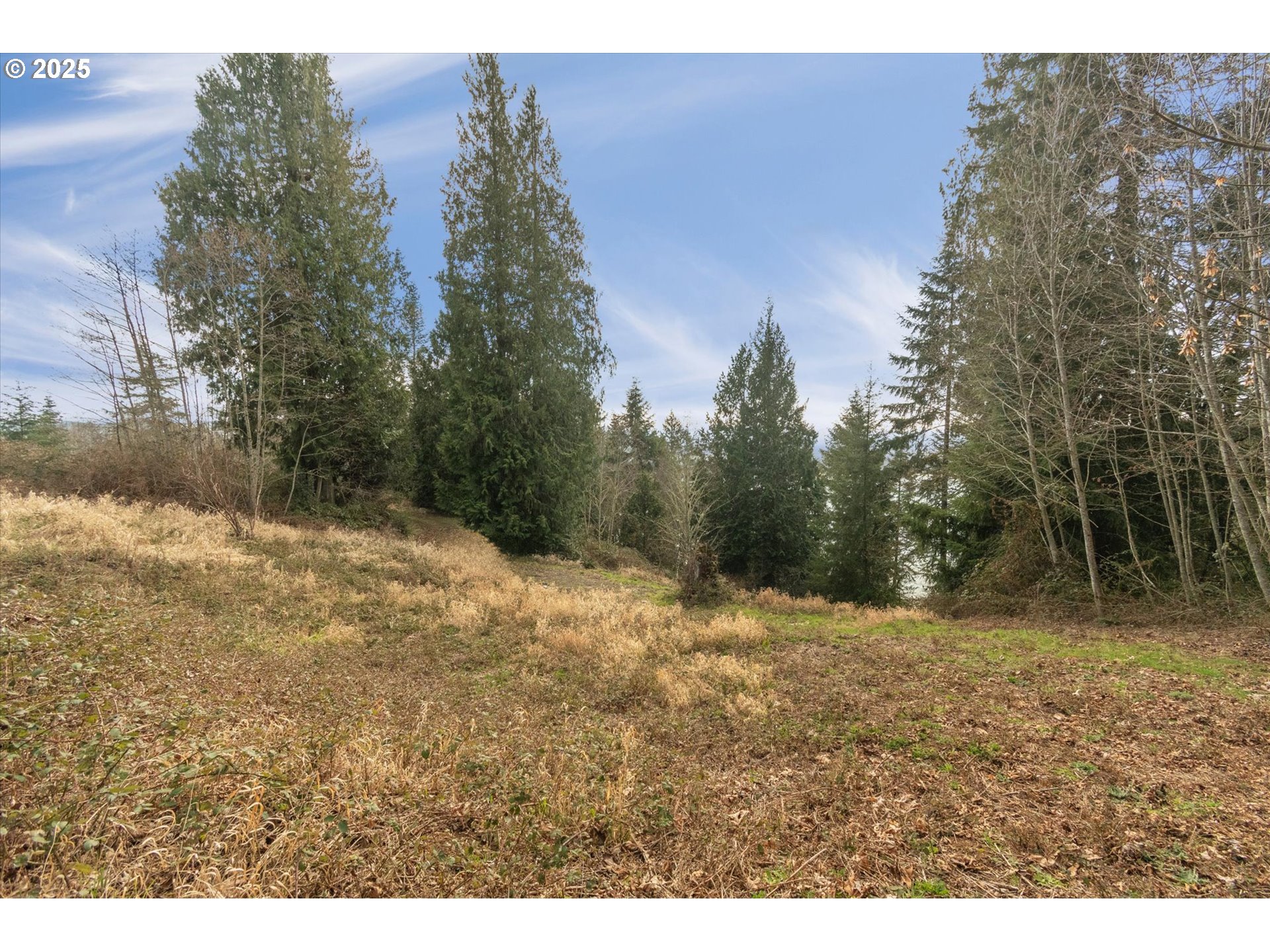205 NEWT ESTATES RD