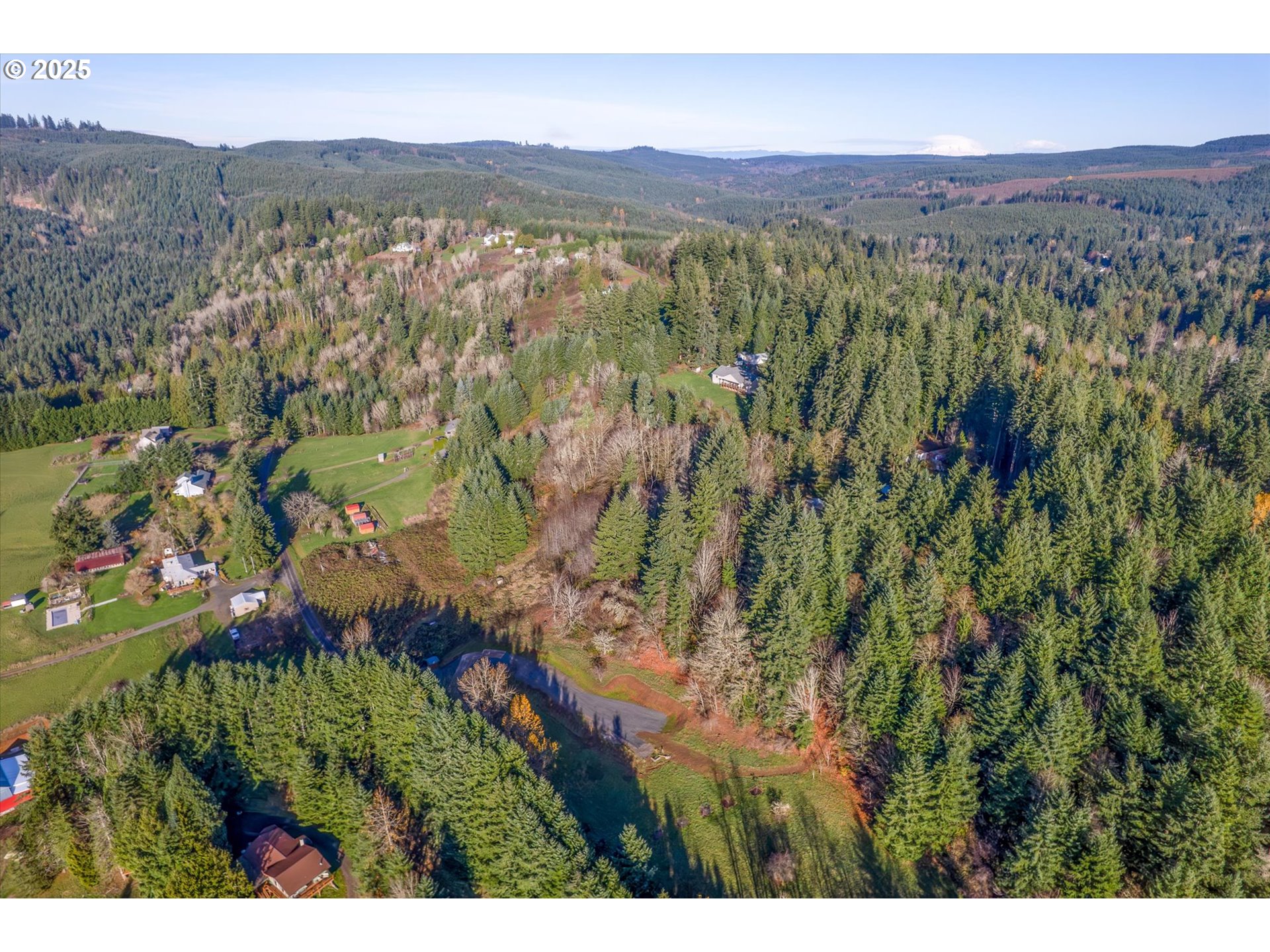 110 LENORA LN