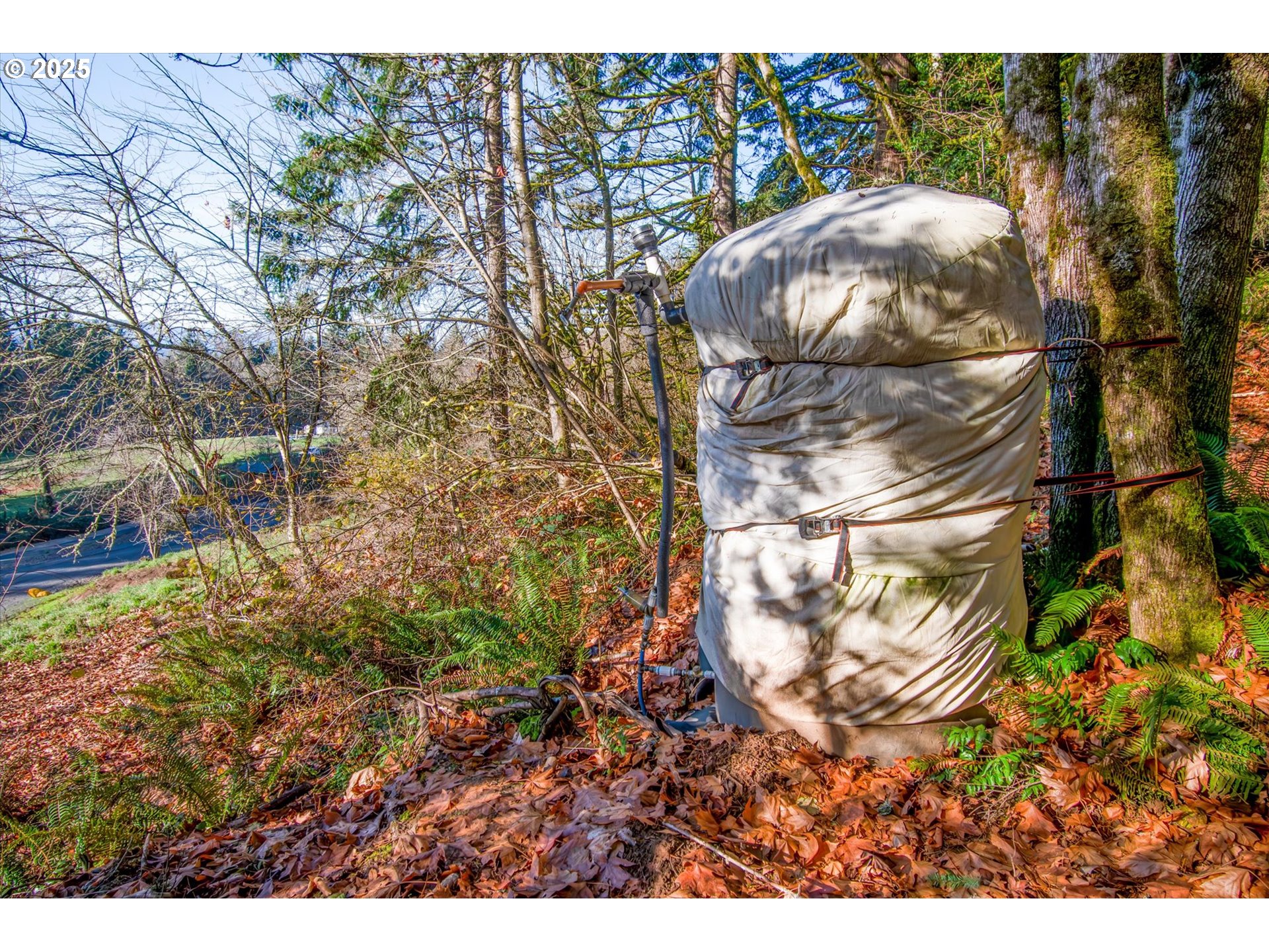 110 LENORA LN