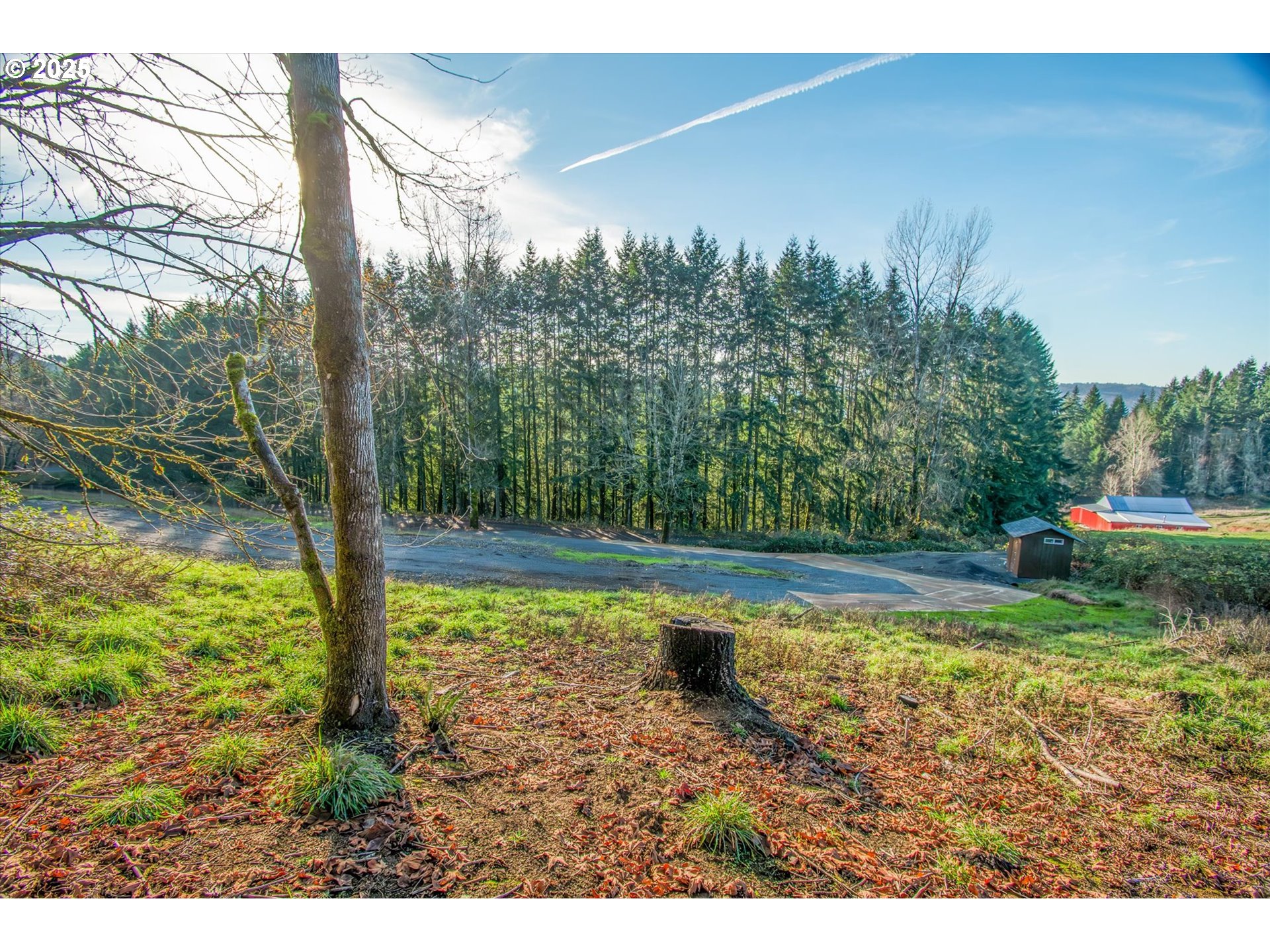 110 LENORA LN