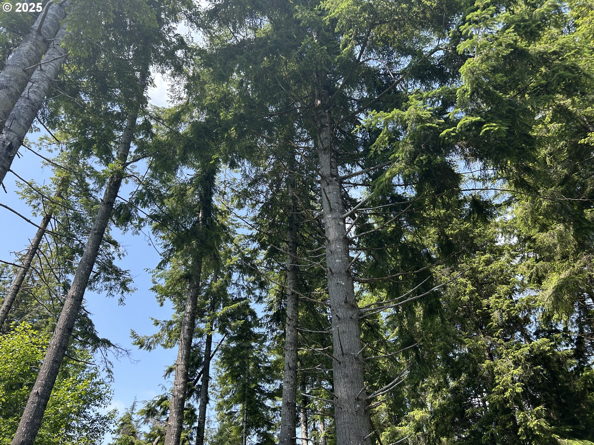 1 W Walberg RD