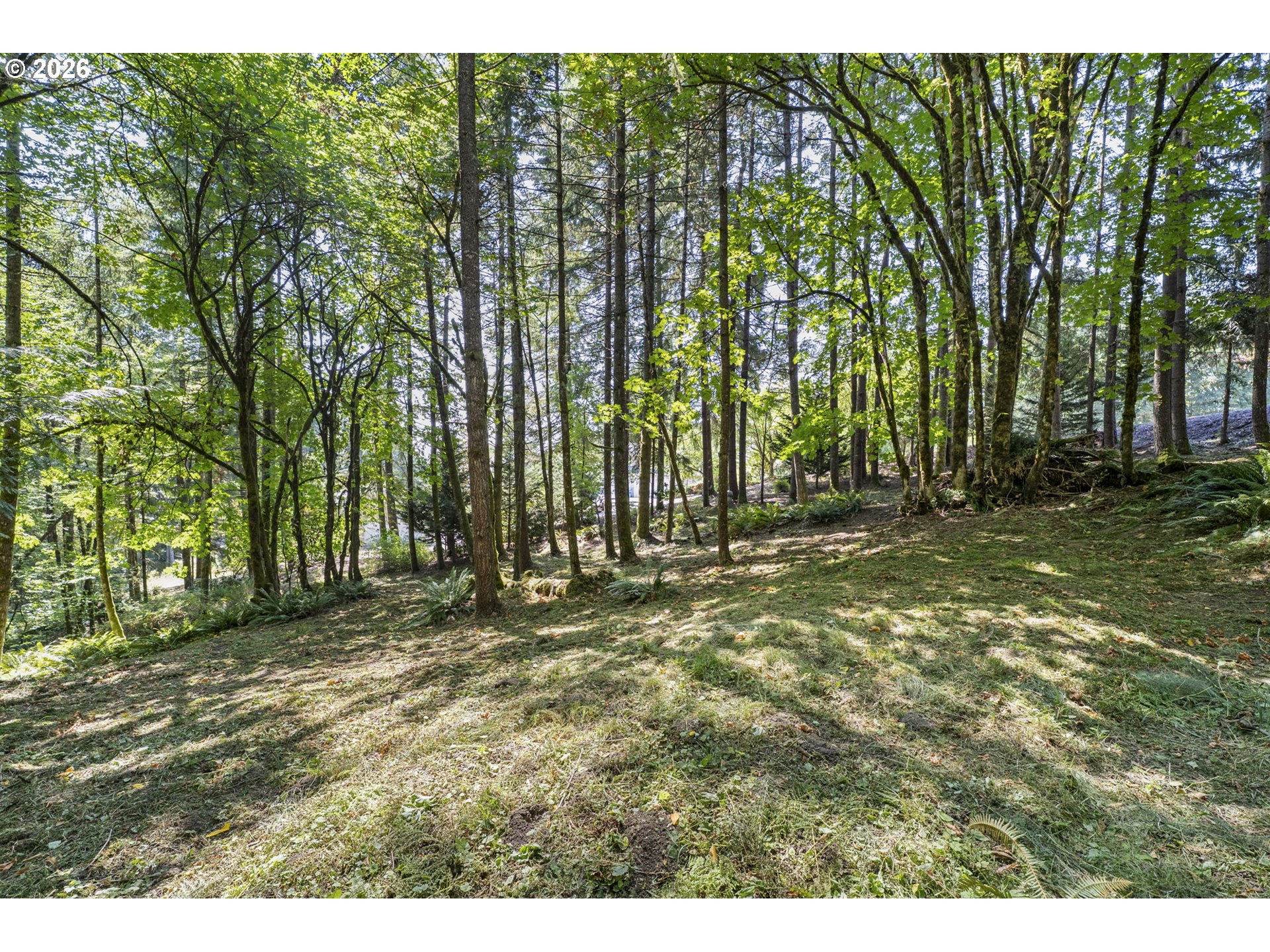 168 UPLAND DR