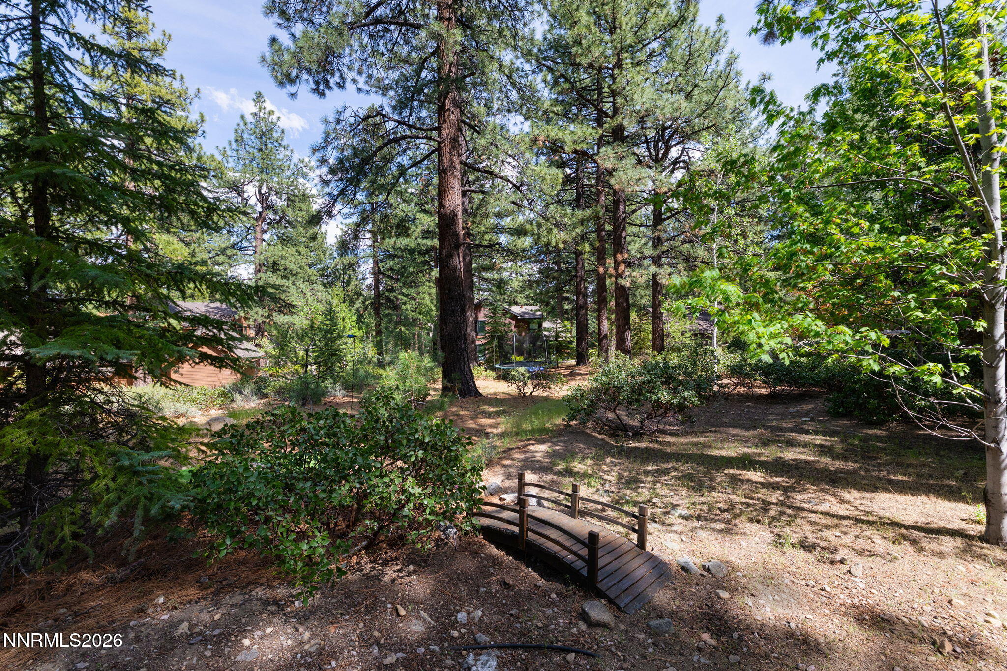305 Mugo Pine Circle