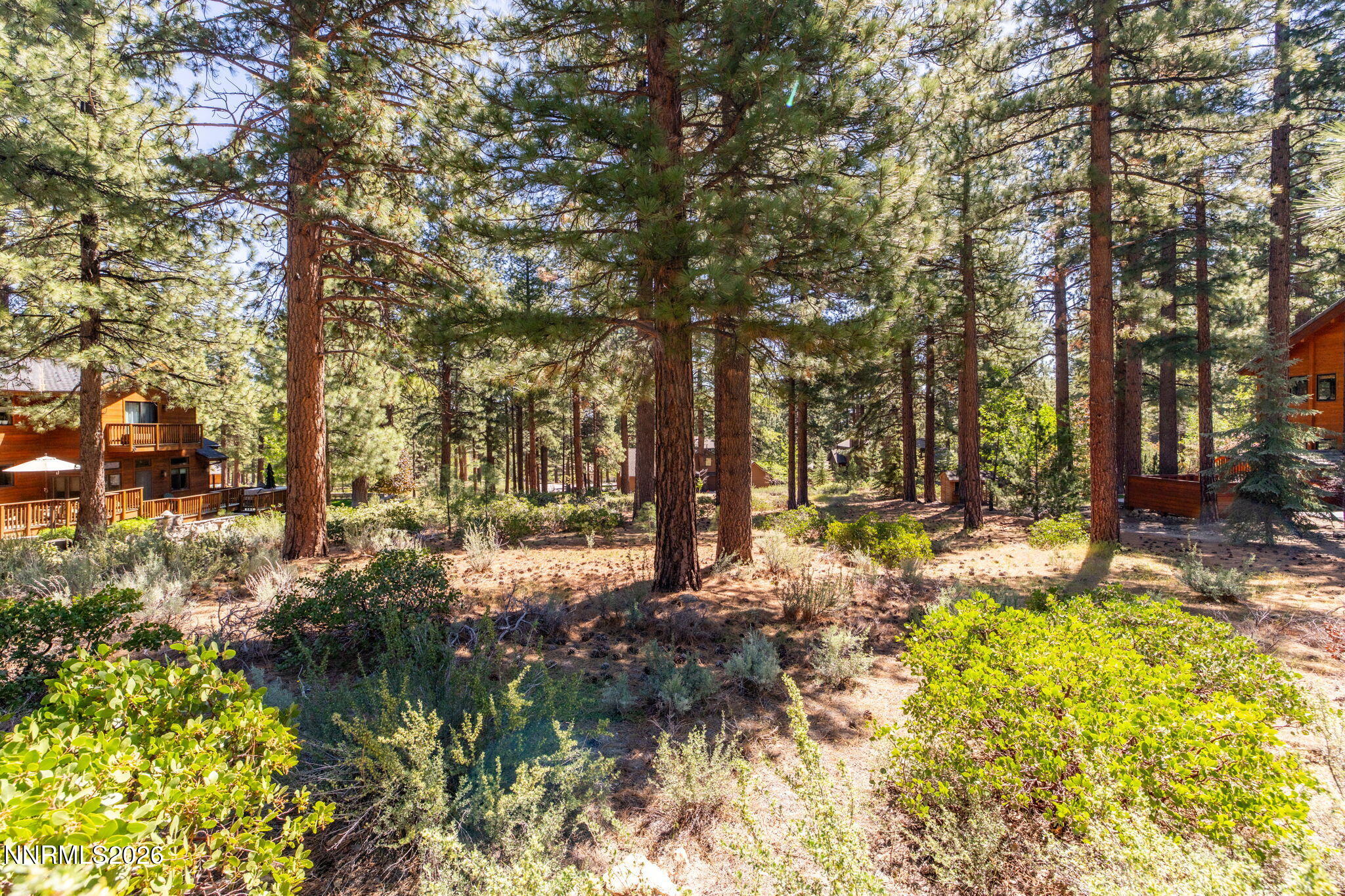 255 Mugo Pine Circle 34