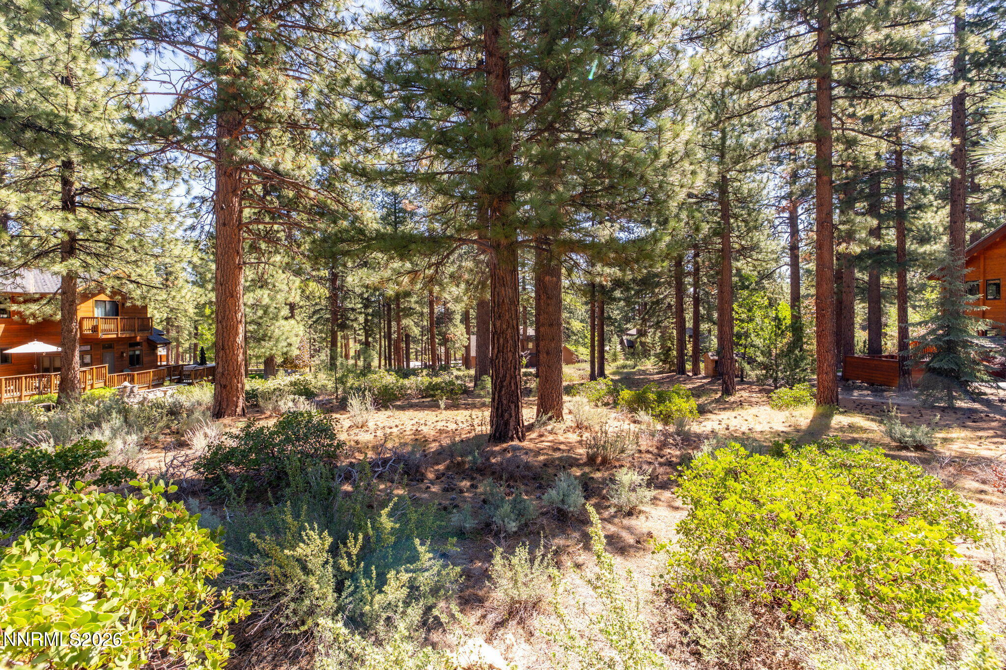 255 Mugo Pine Circle 34