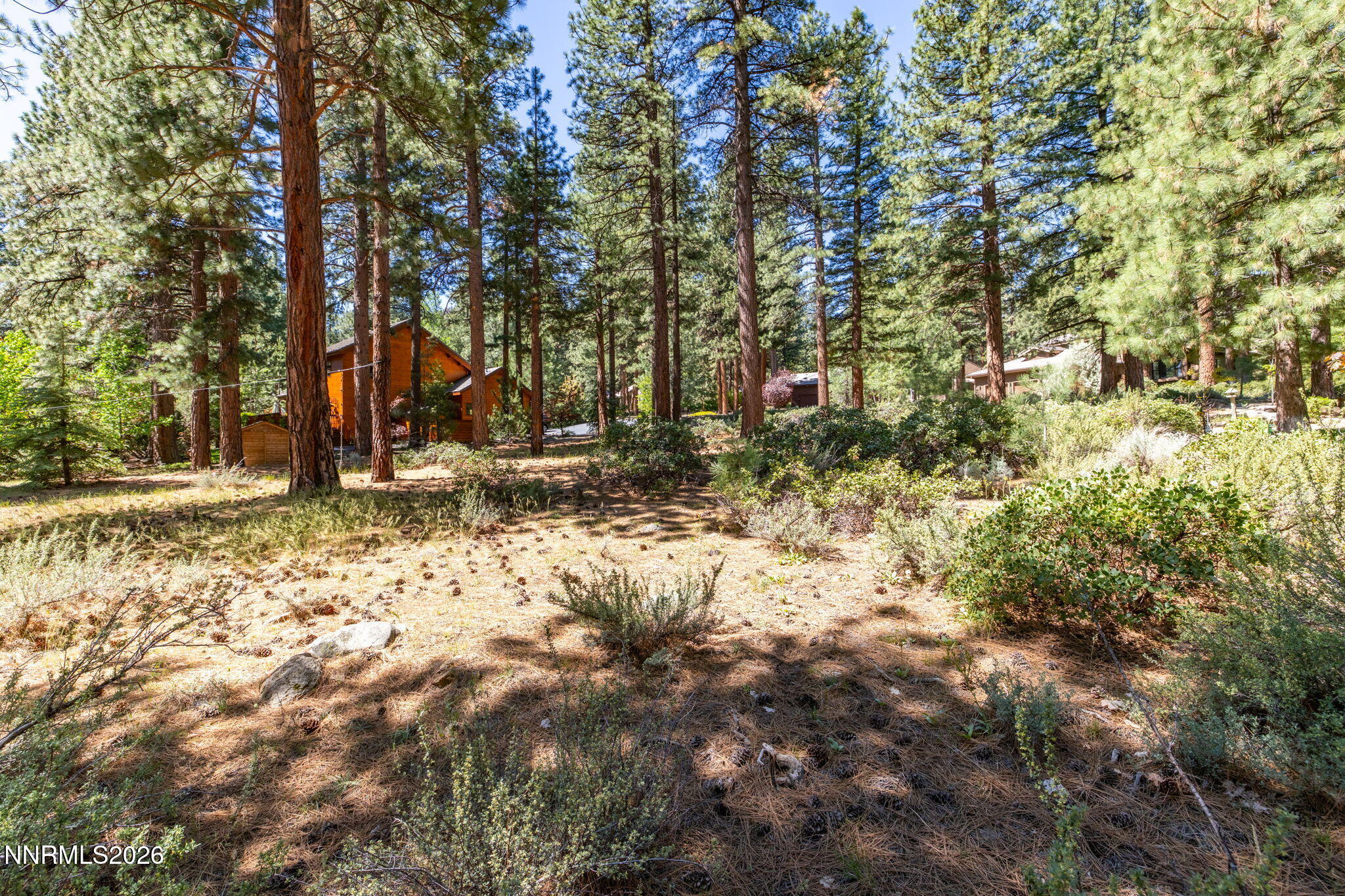 255 Mugo Pine Circle 34