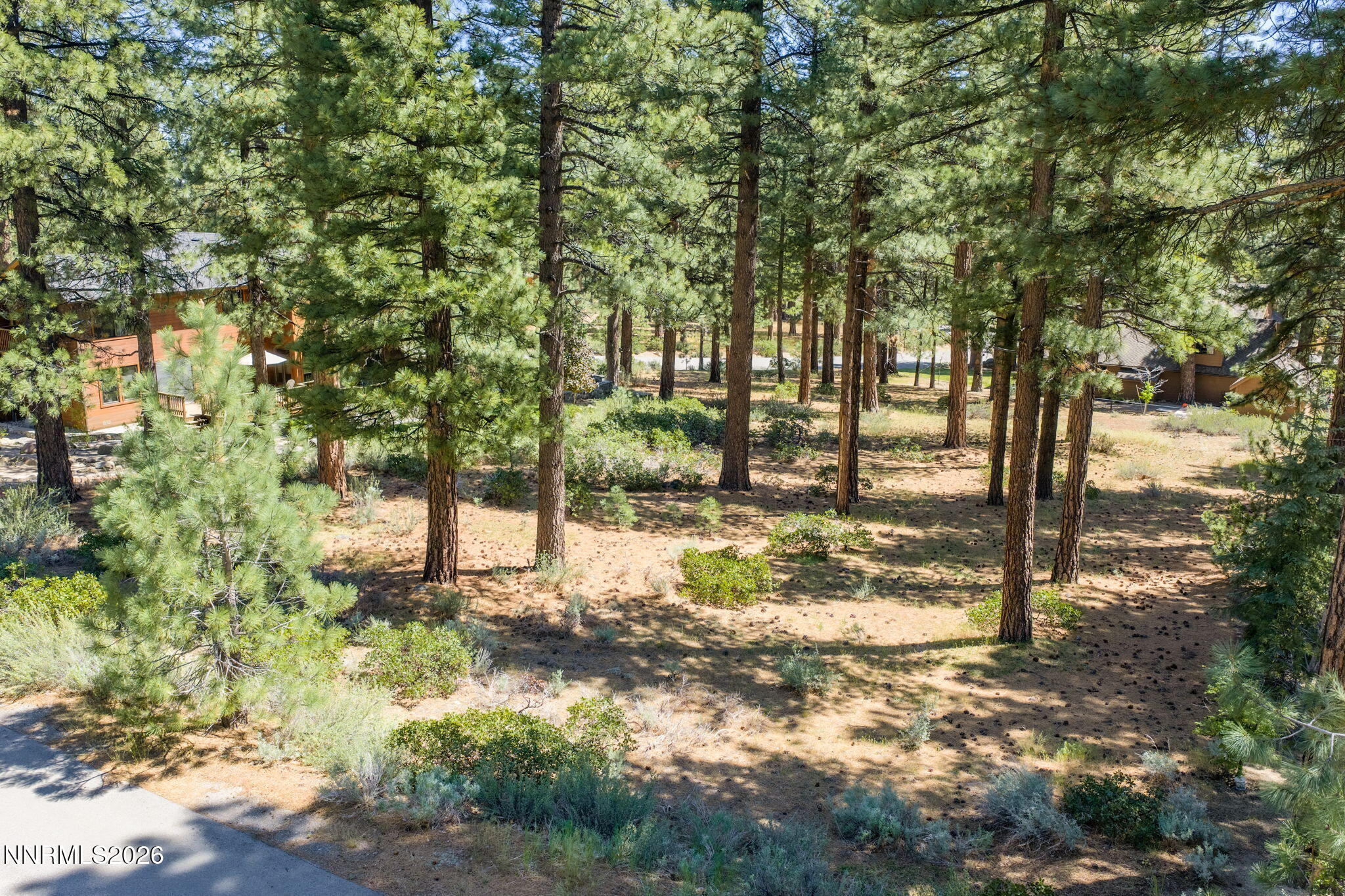 255 Mugo Pine Circle 34