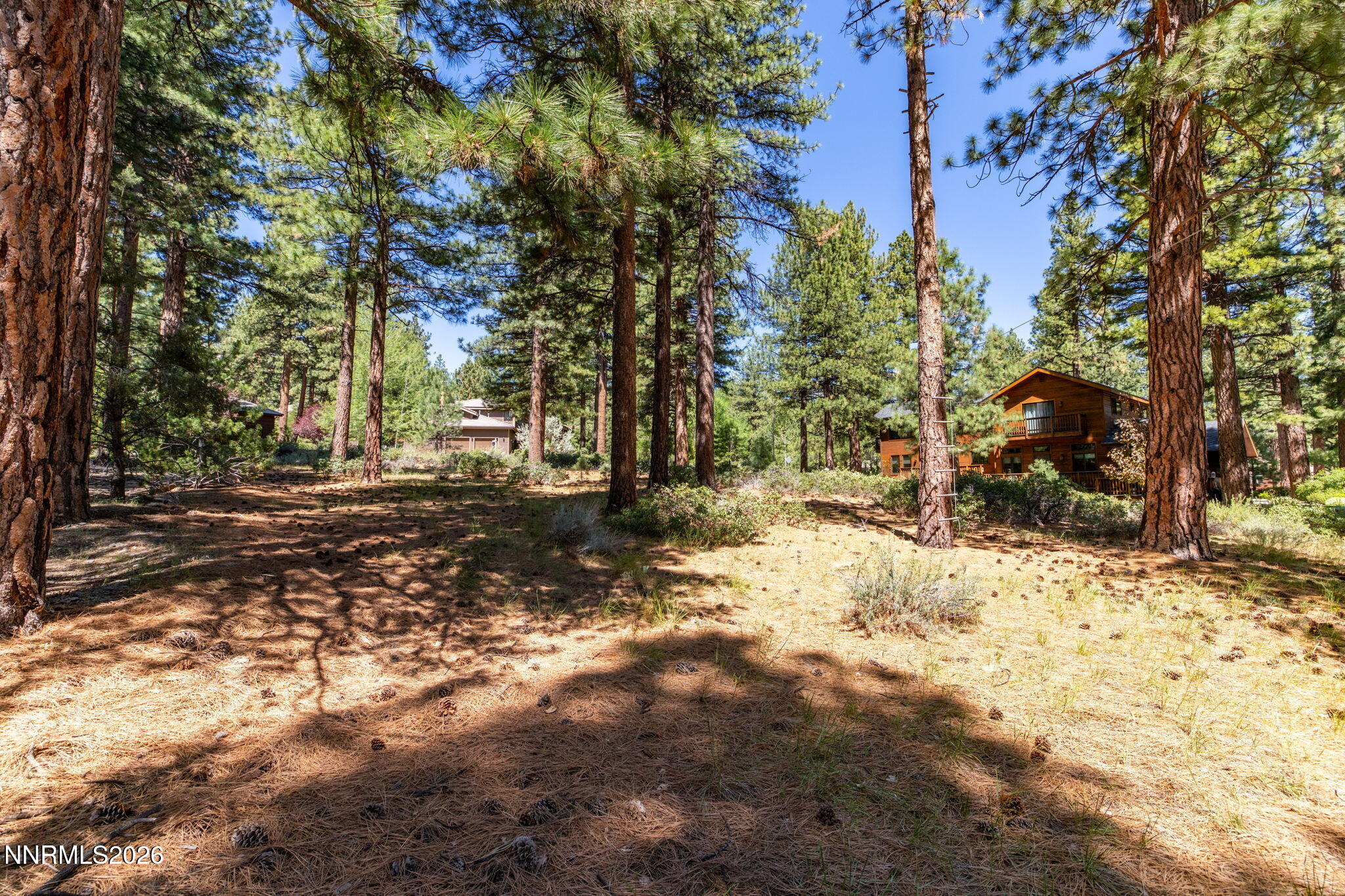 255 Mugo Pine Circle 34