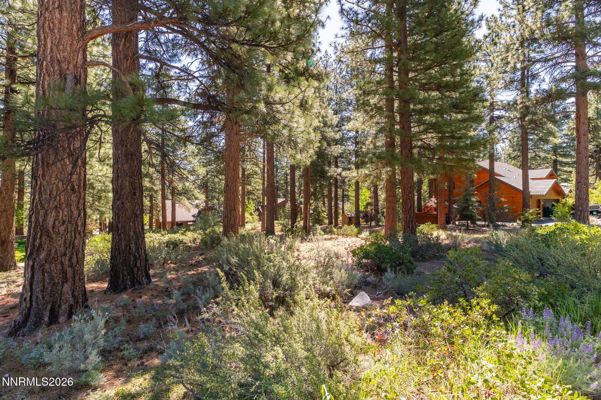 255 Mugo Pine Circle 34
