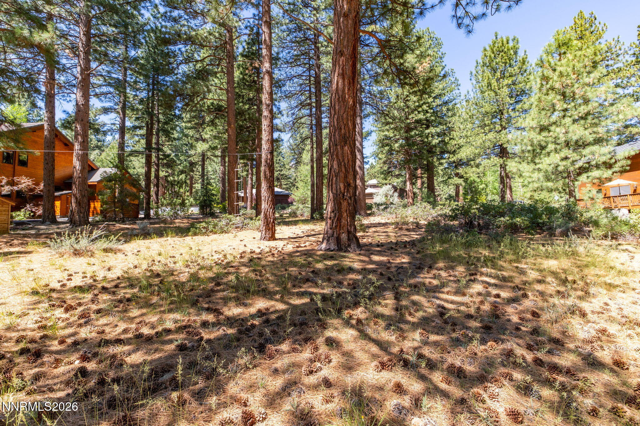 255 Mugo Pine Circle 34