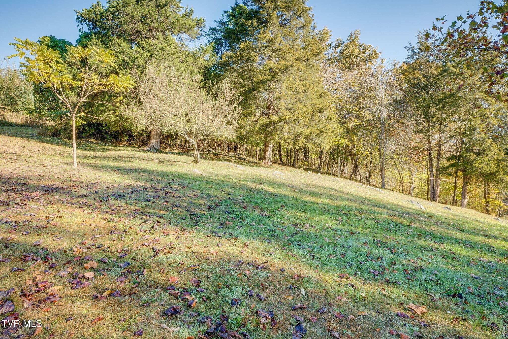 675 Ford Creek Road