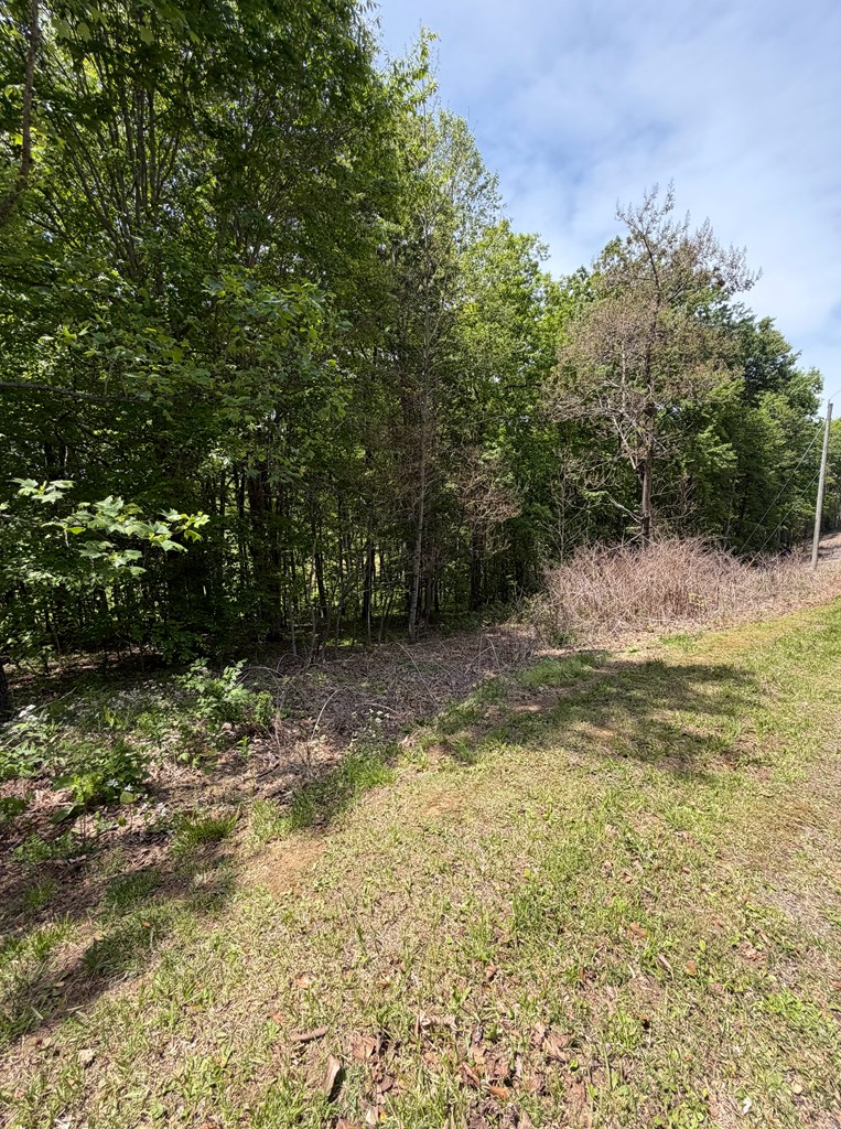 TBD Glenview Ln