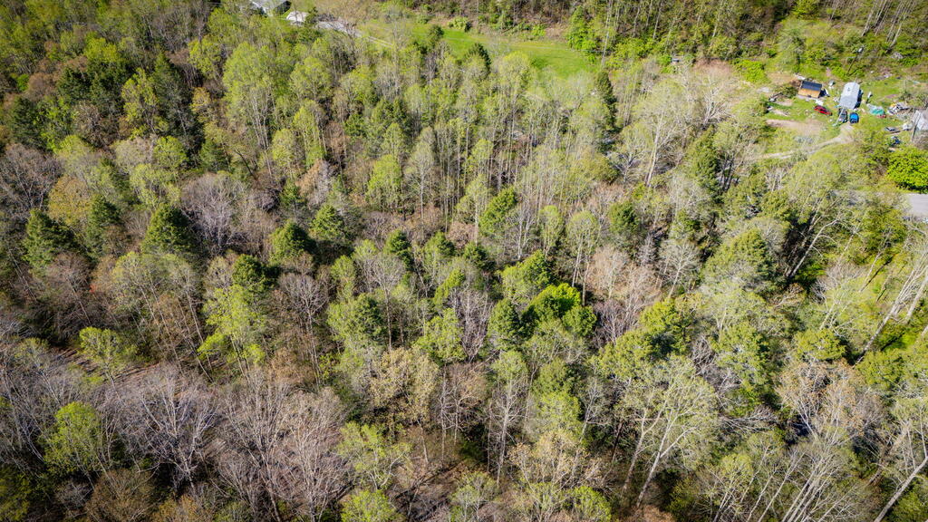 TBD Guest River Rd