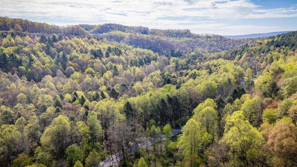 TBD Guest River Rd