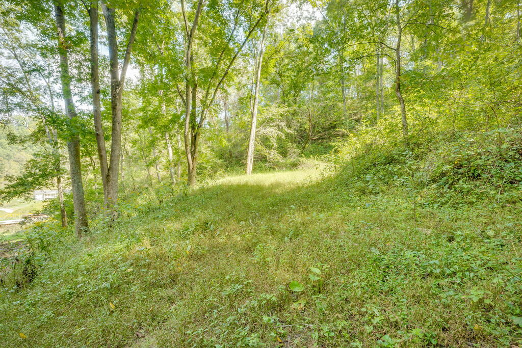 310 Hess Hollow Road