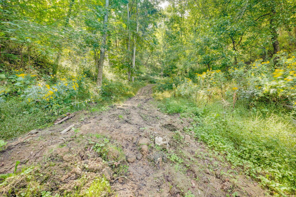 310 Hess Hollow Road