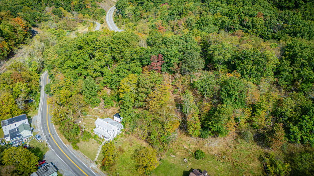 Aerial view of wooded land beside a curving road, with neighboring buildings and patches of open ground.