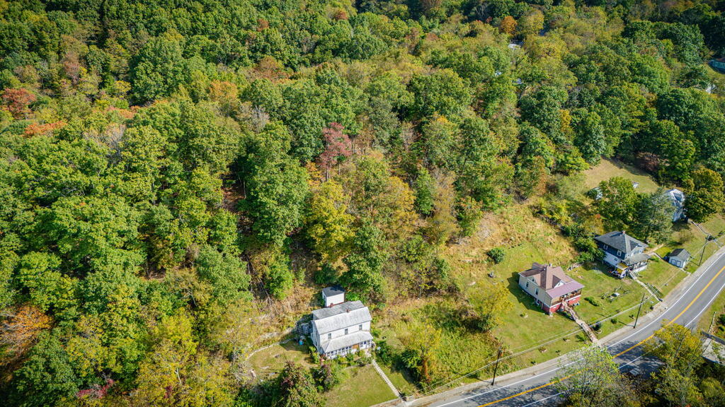 Aerial view of a wooded hillside with homes and grassy lots beside a road.