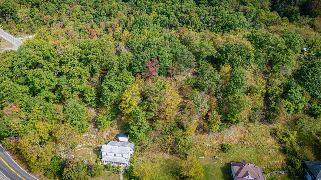 Aerial view of wooded land beside a road, with nearby homes and autumn foliage.