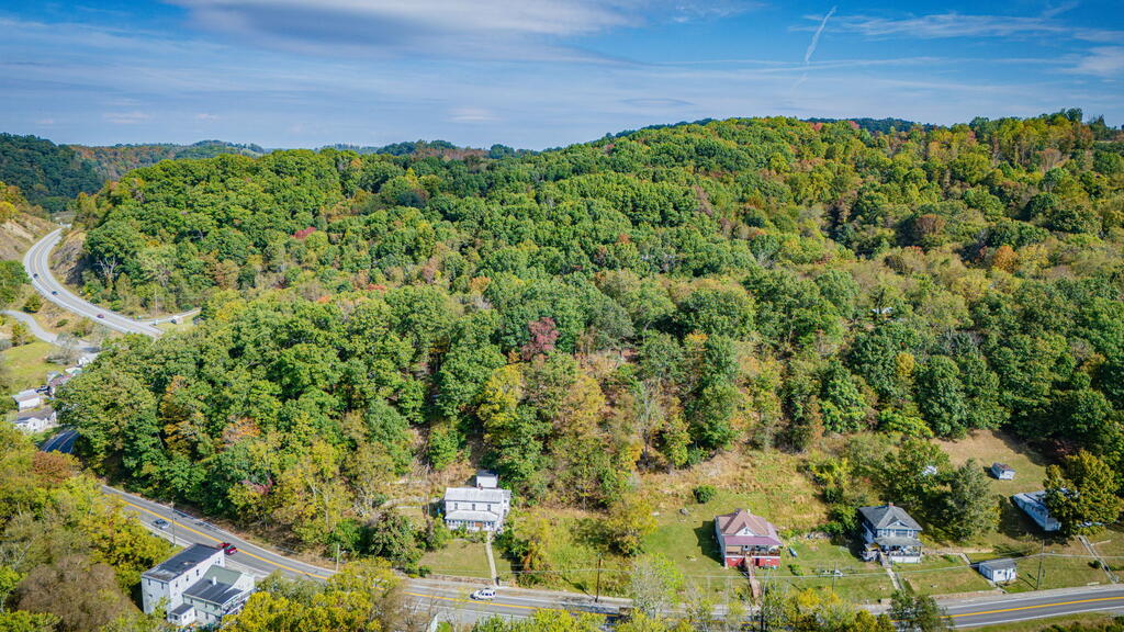 Aerial view of wooded hillside land above a road and scattered homes.