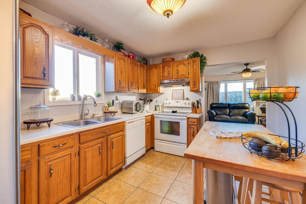 141 Trigg Drive
