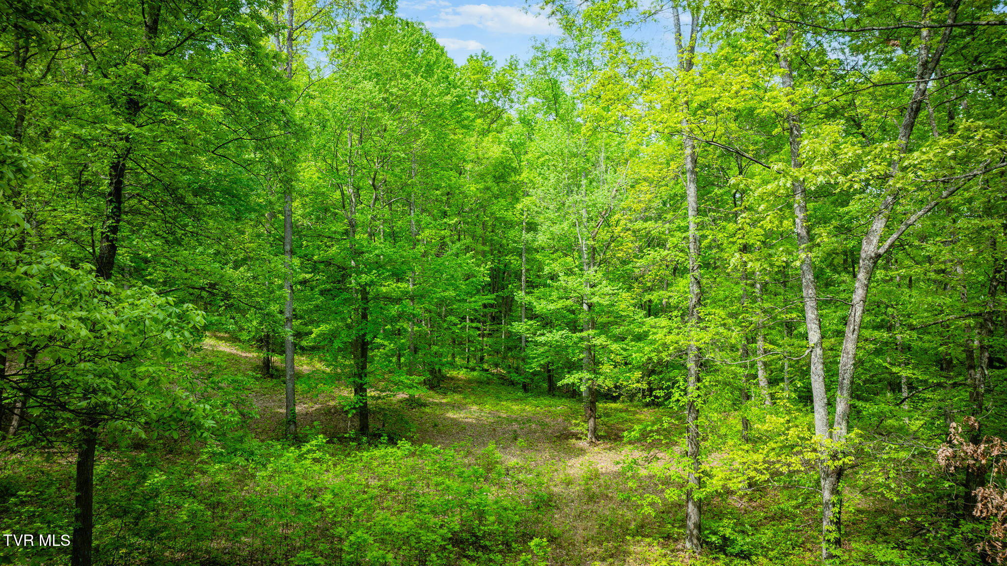 18144 Brumley Gap Road