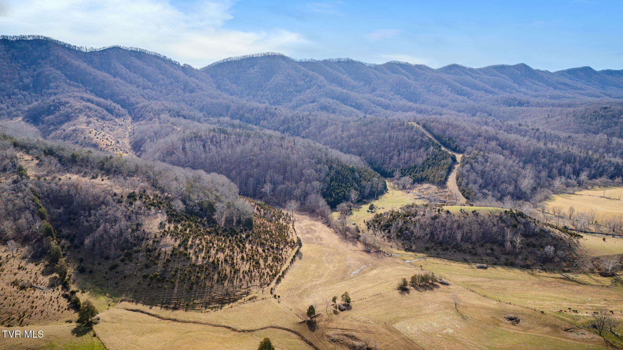 Tbd Clinch Mountain Road