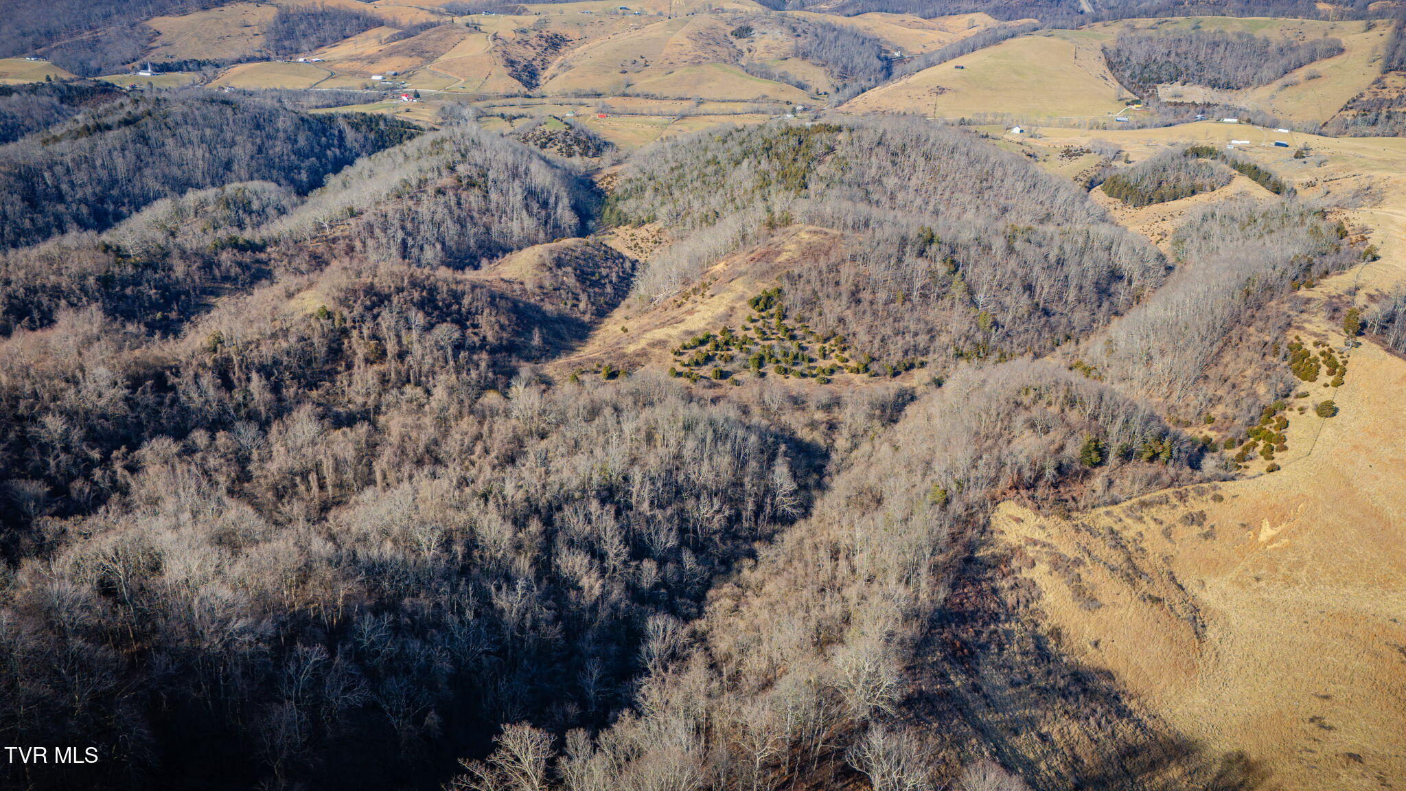 Tbd Clinch Mountain Road