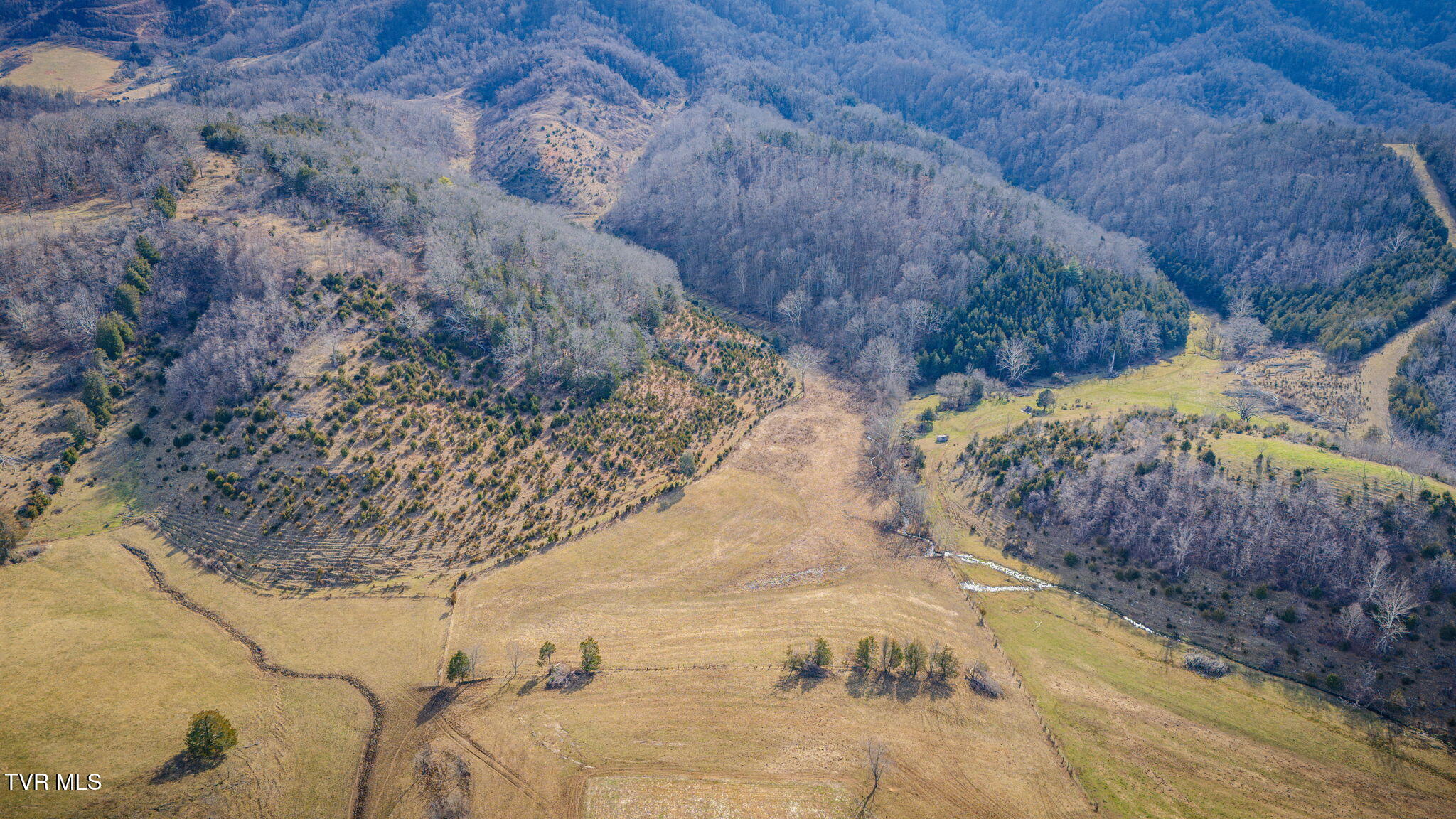 Tbd Clinch Mountain Road