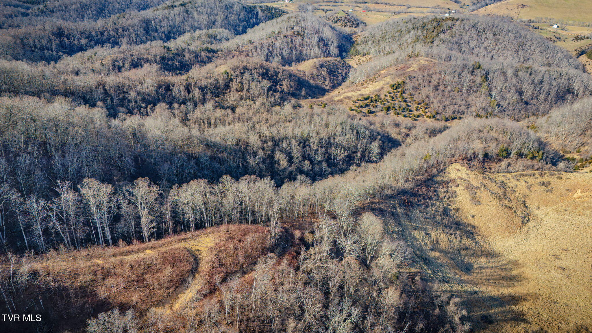 Tbd Clinch Mountain Road