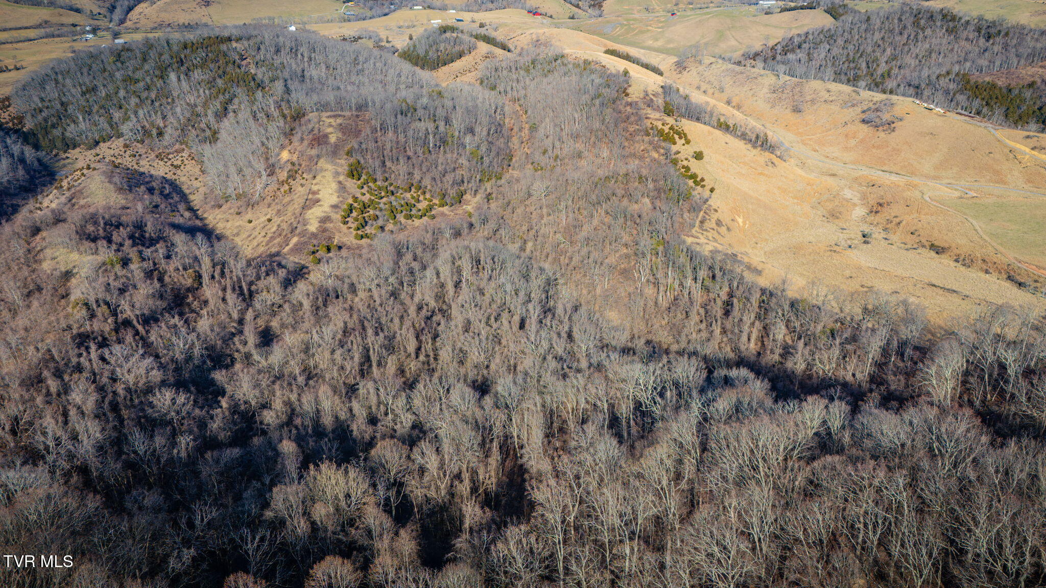 Tbd Clinch Mountain Road