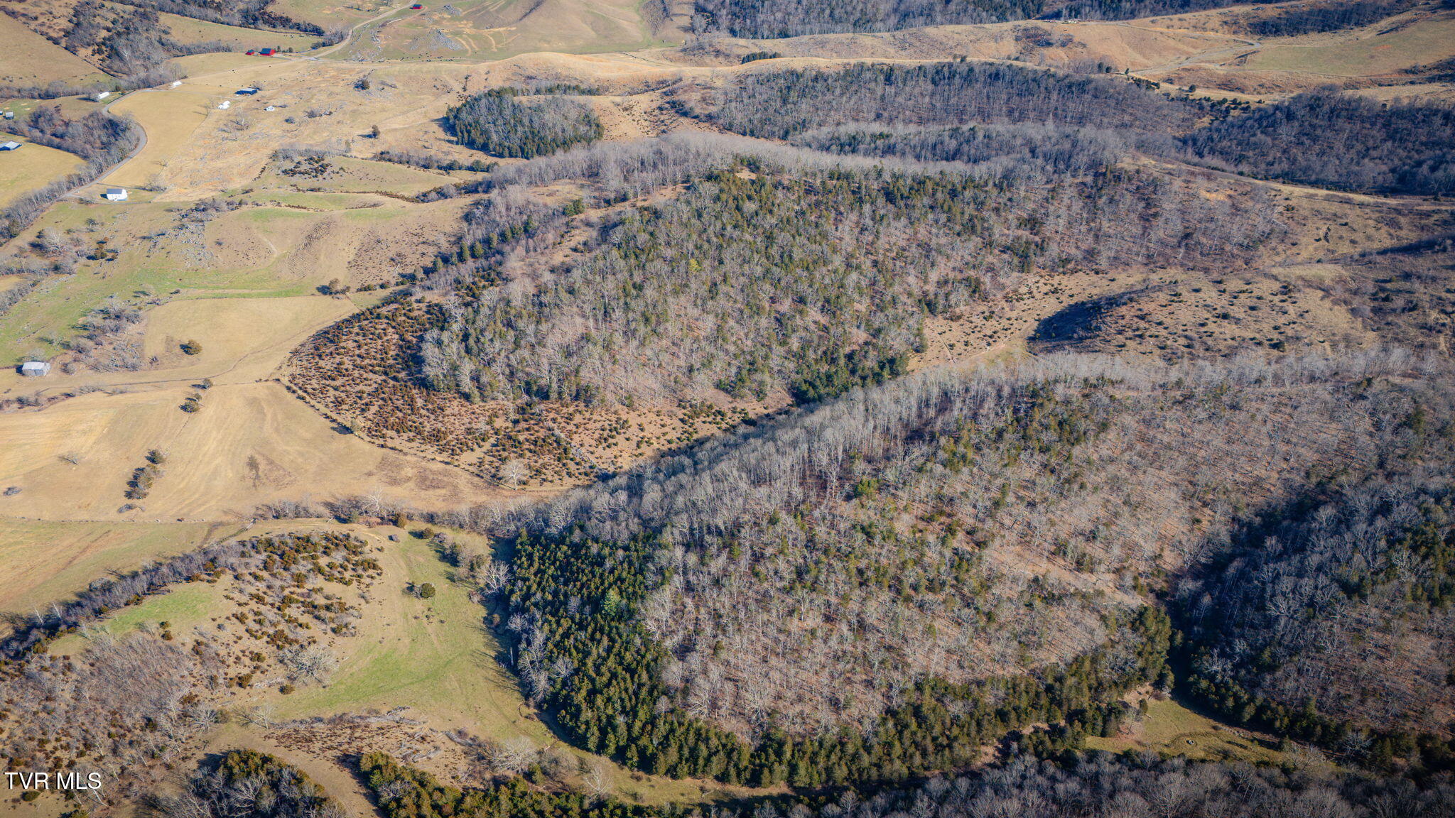Tbd Clinch Mountain Road
