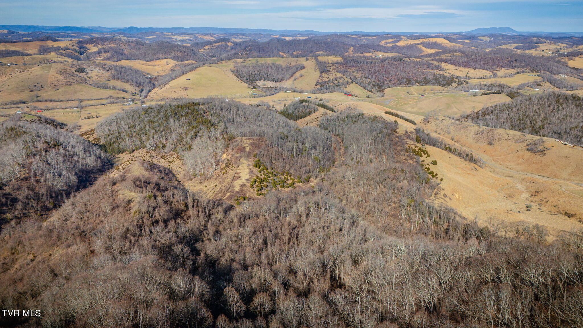 Tbd Clinch Mountain Road