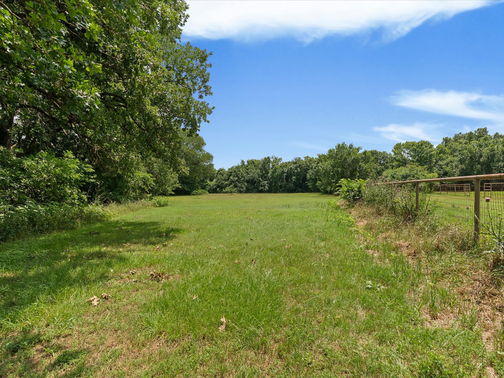 850 Newt Patterson Road