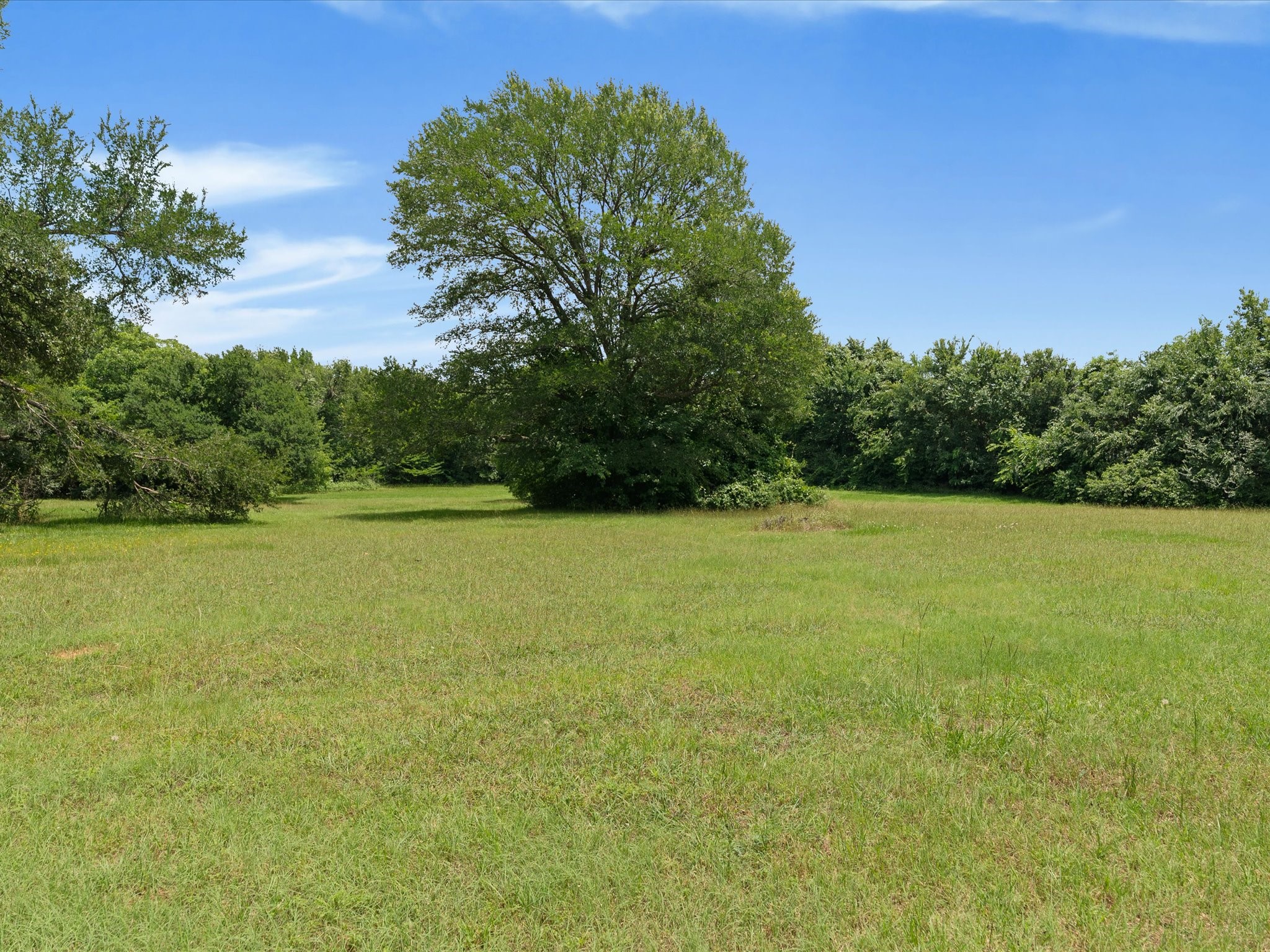 850 Newt Patterson Road