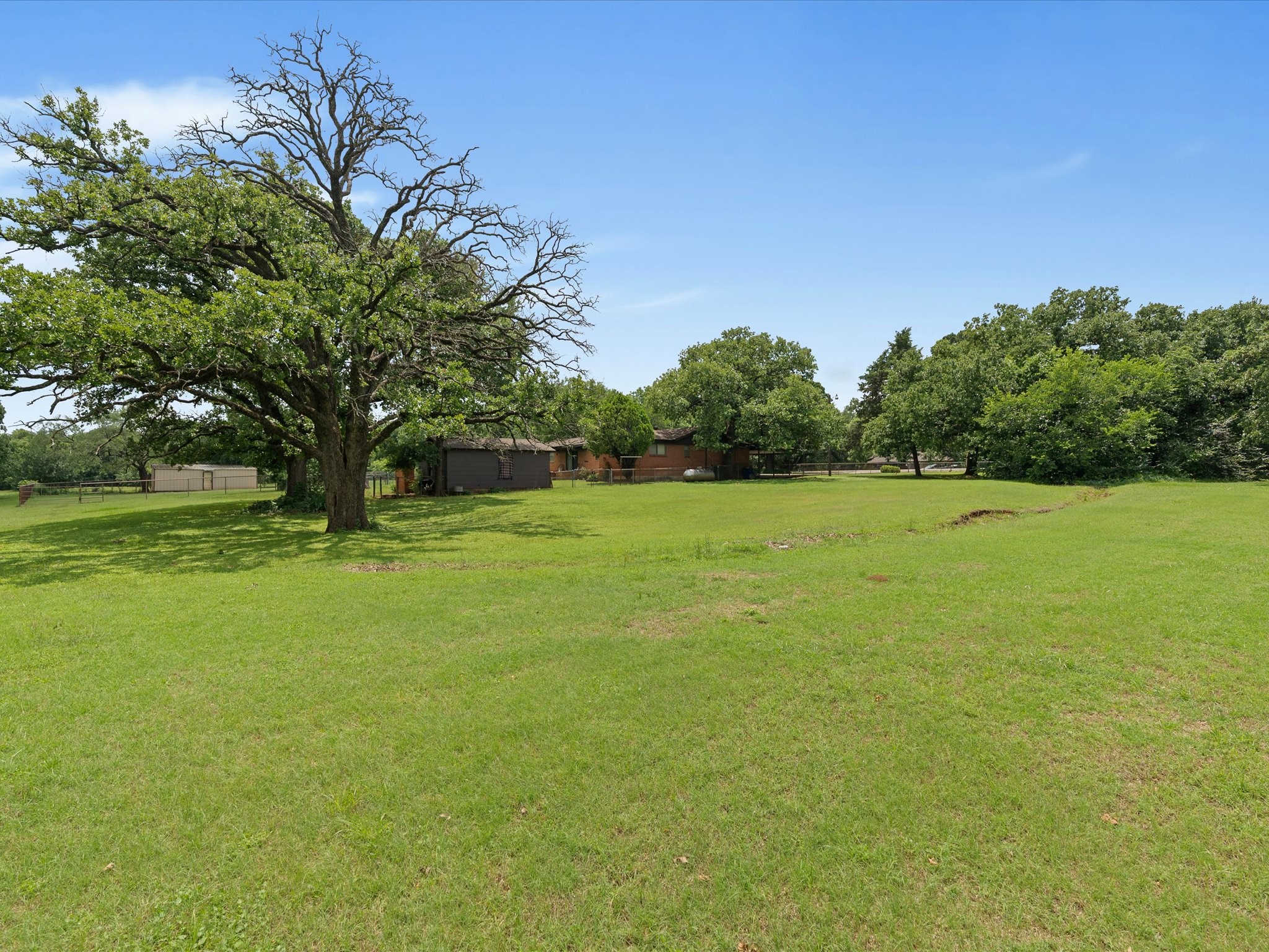 850 Newt Patterson Road