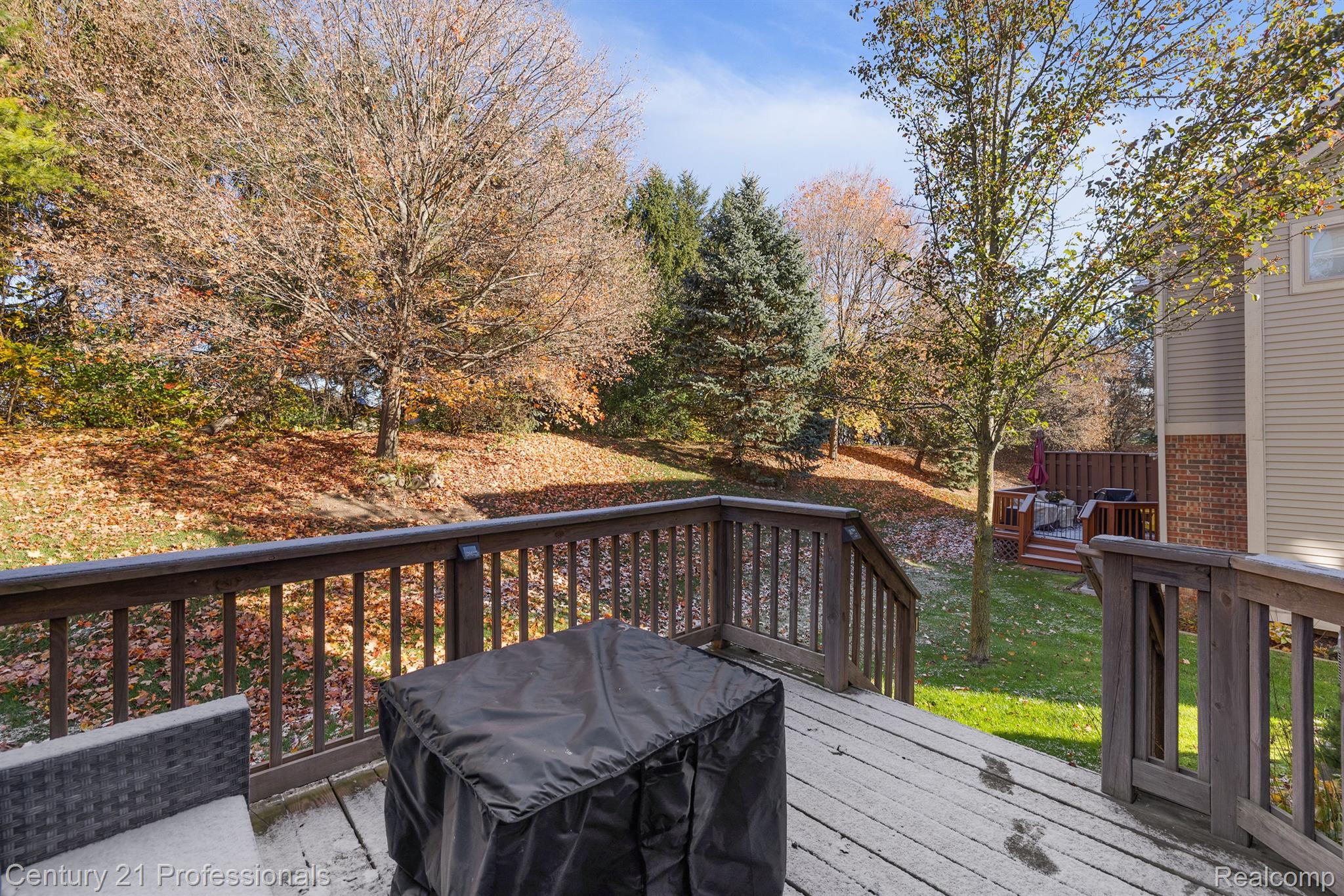 50436 BEECHWOOD