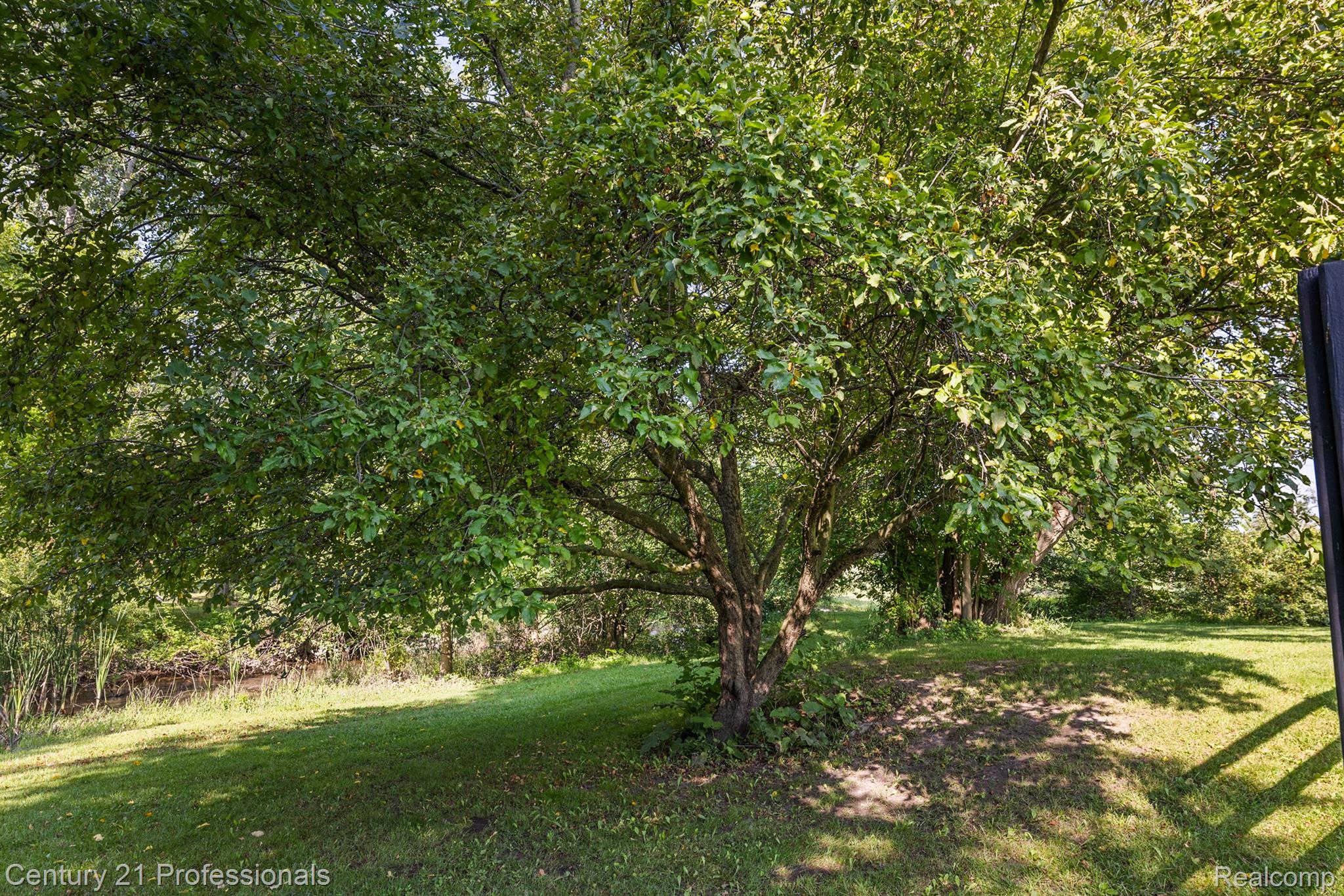 14160 FAGAN Road