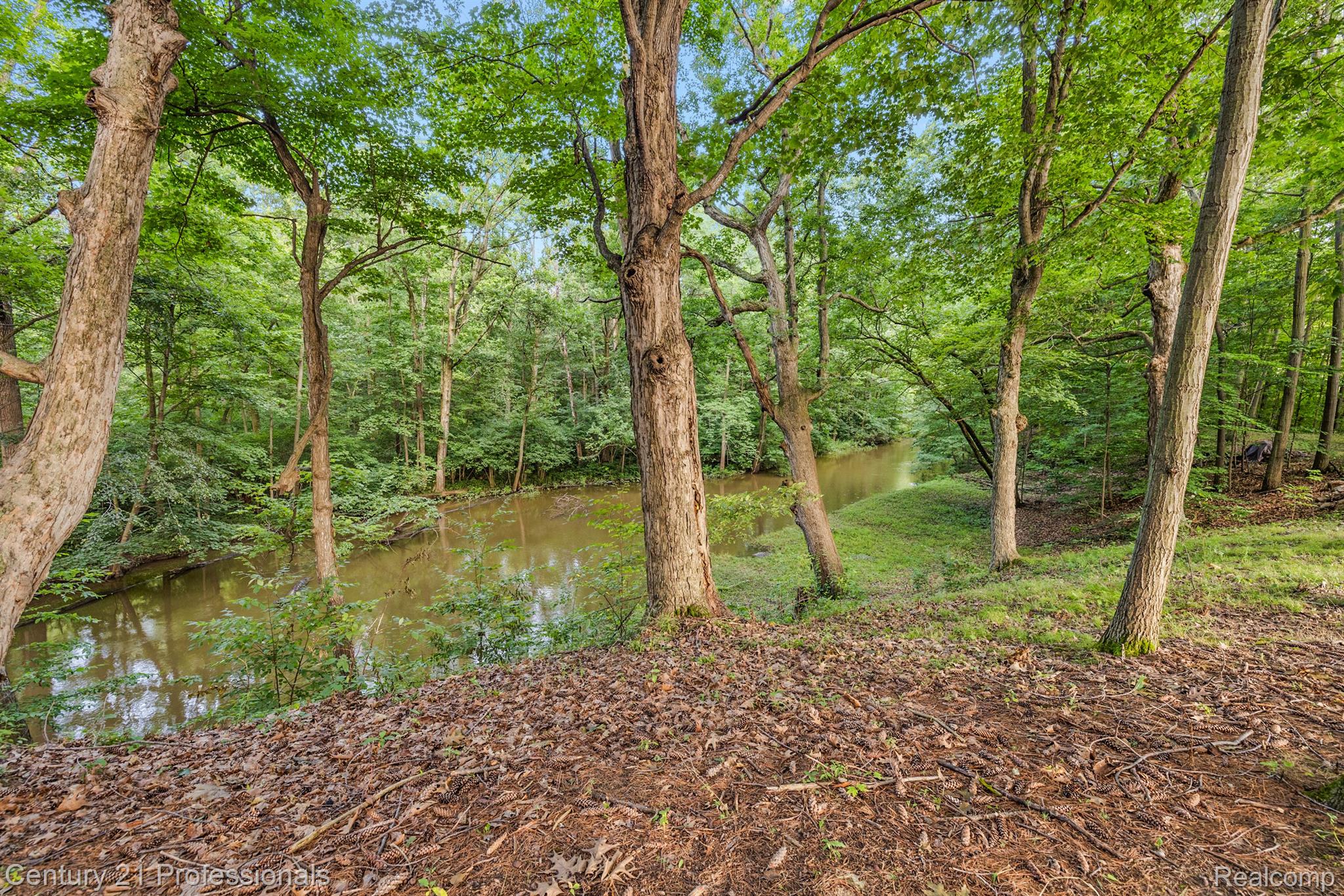 3318 CREEKVIEW Drive