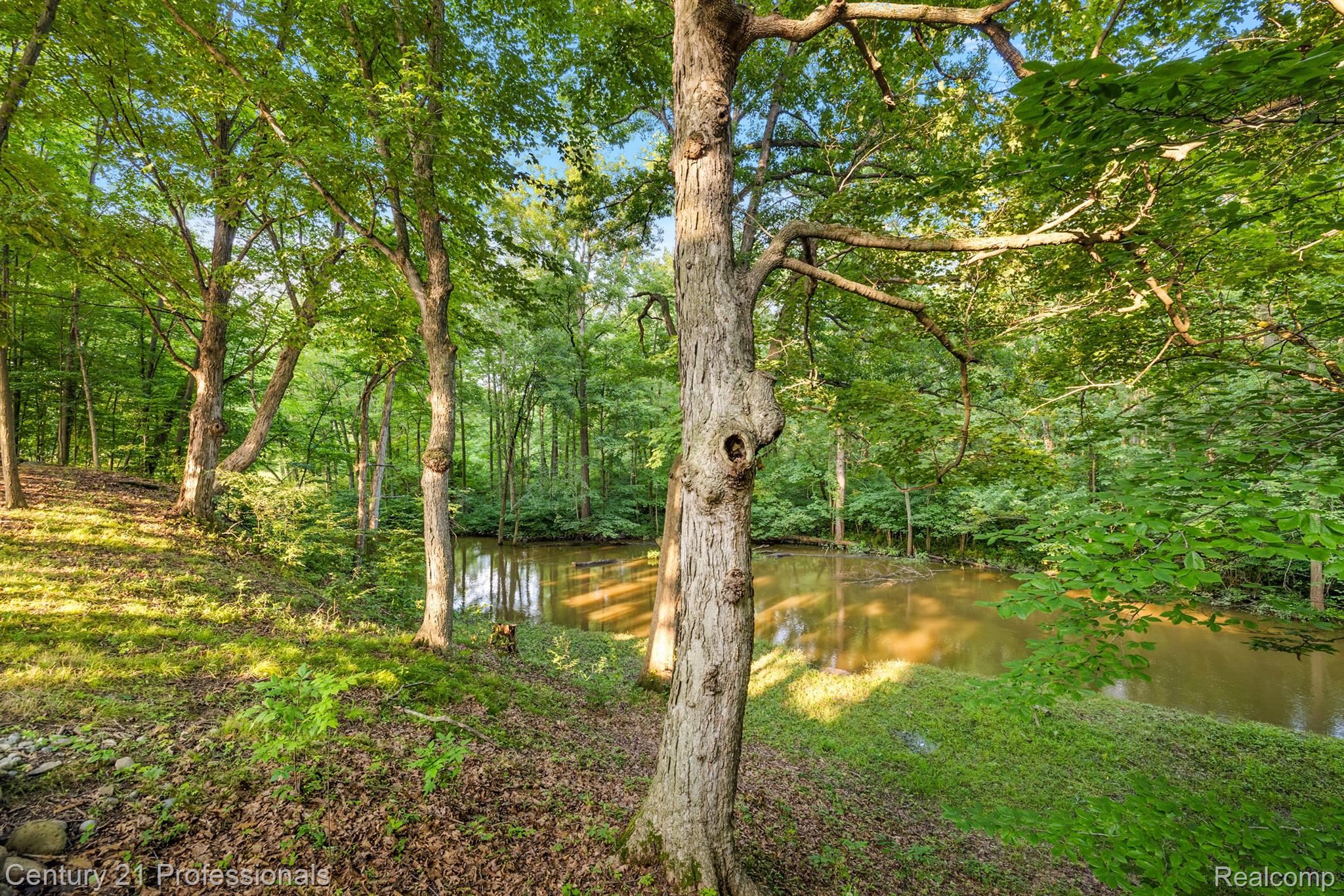 3318 CREEKVIEW Drive