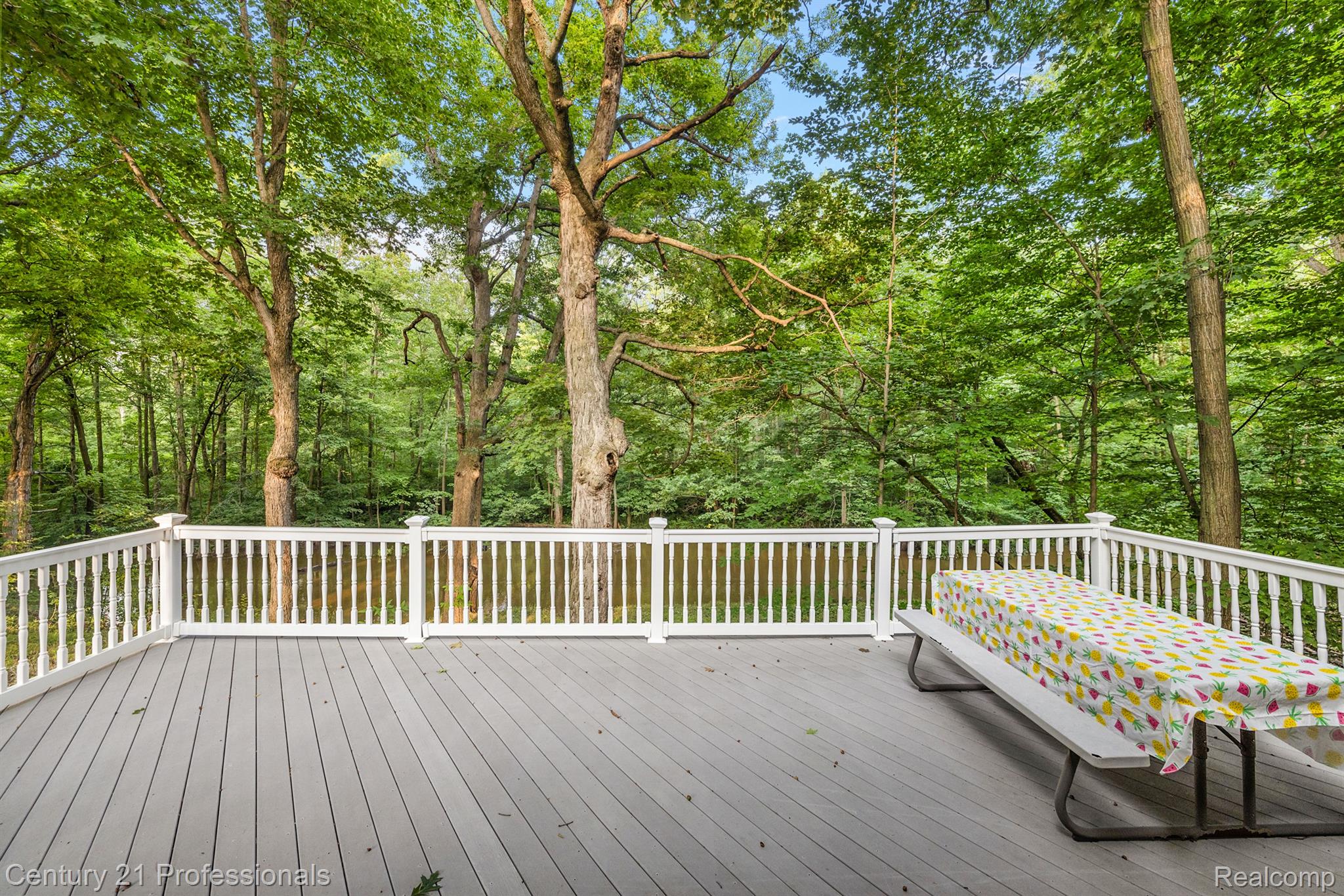 3318 CREEKVIEW Drive
