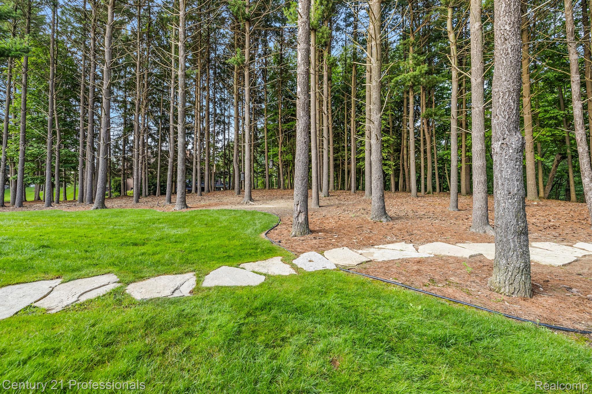 3318 CREEKVIEW Drive