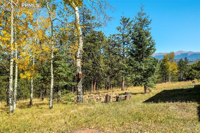 51 Black Mesa Circle