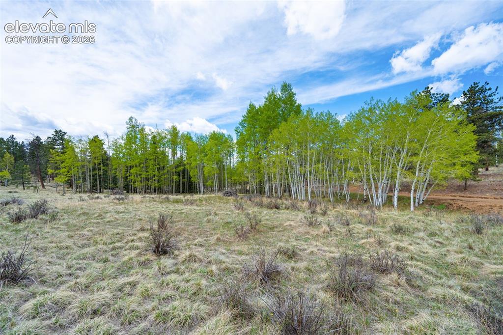57 Beaver Creek Drive