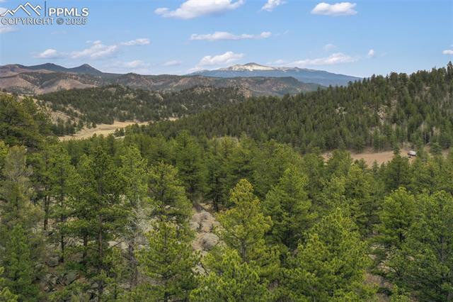 35098 Highway 24
