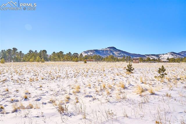 145 View Lane