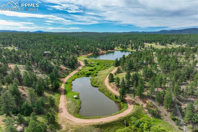 288 Forest Glen Trail