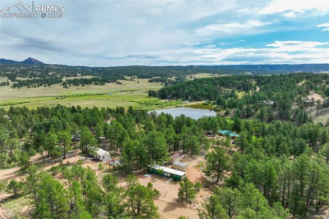 288 Forest Glen Trail