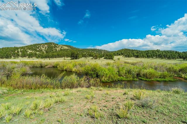 224 Lakeview Forest Heights